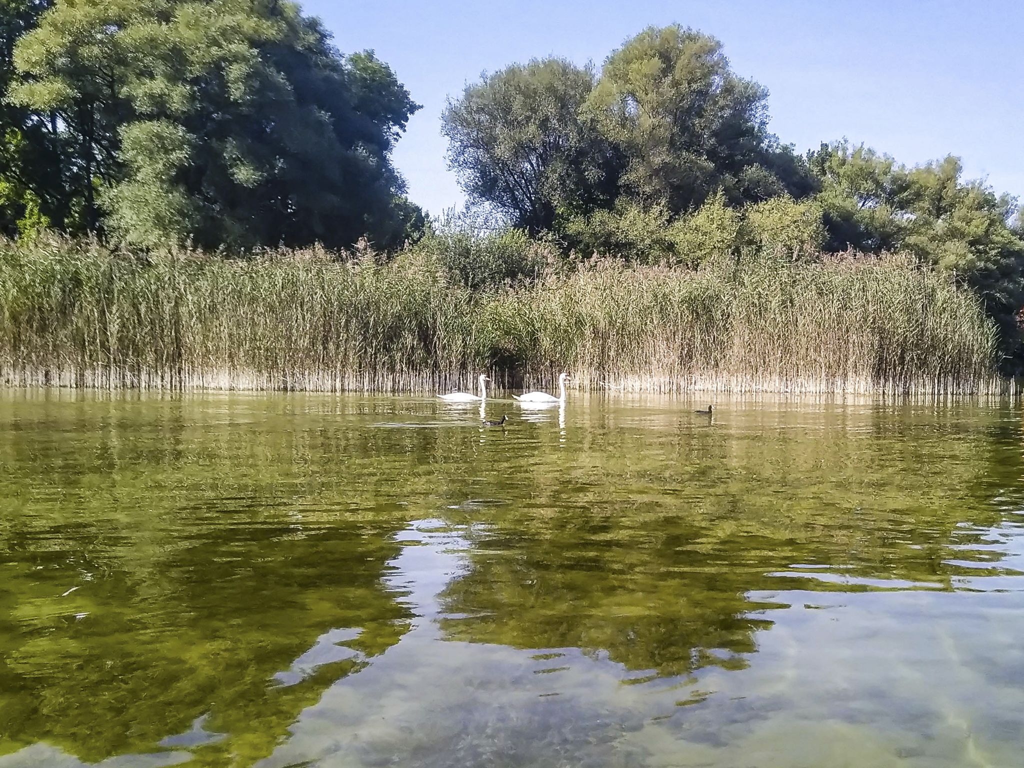 Kajaktour Ammersee Stegen 25.09.2021